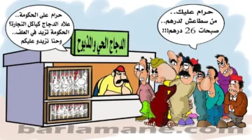 حماية المستهلك تطالب بتسقيف أسعار الدجاج وتنتقد هيمنة اللوبيات قبل حلول العيد